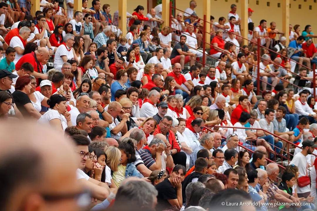 Fiestas de Tudela &rsquo;19, d&iacute;a 26 - Encierro y vacas en la plaza 58