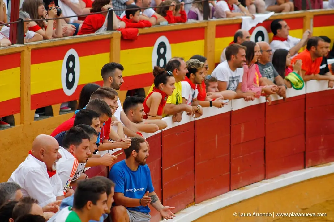 Fiestas de Tudela &rsquo;19, d&iacute;a 26 - Encierro y vacas en la plaza 62