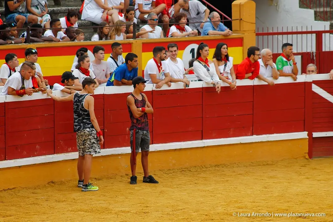 Fiestas de Tudela &rsquo;19, d&iacute;a 26 - Encierro y vacas en la plaza 63
