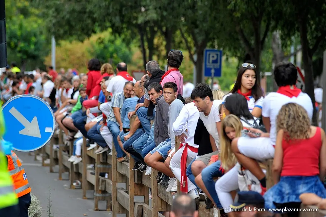 Fiestas de Tudela &rsquo;19, d&iacute;a 27 - Encierro y vacas en la plaza 3