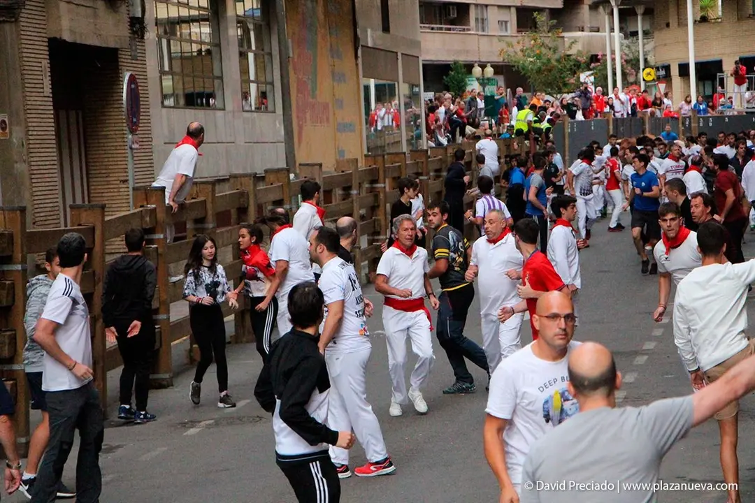 Fiestas de Tudela &rsquo;19, d&iacute;a 27 - Encierro y vacas en la plaza 4