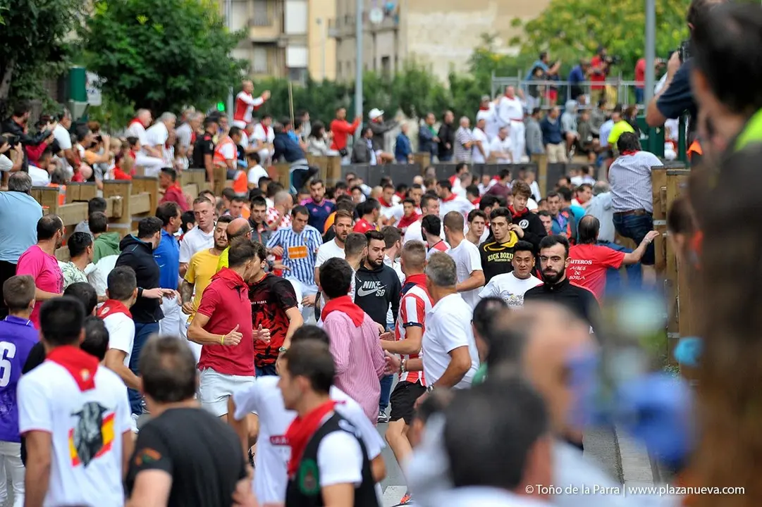 Fiestas de Tudela &rsquo;19, d&iacute;a 27 - Encierro y vacas en la plaza 15