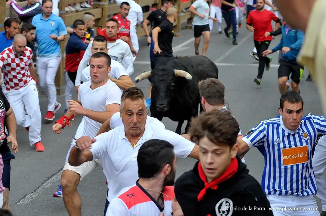 Fiestas de Tudela &rsquo;19, d&iacute;a 27 - Encierro y vacas en la plaza 16