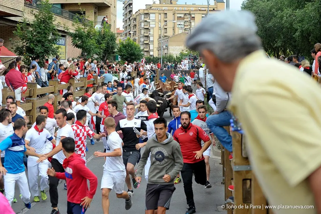 Fiestas de Tudela &rsquo;19, d&iacute;a 27 - Encierro y vacas en la plaza 18