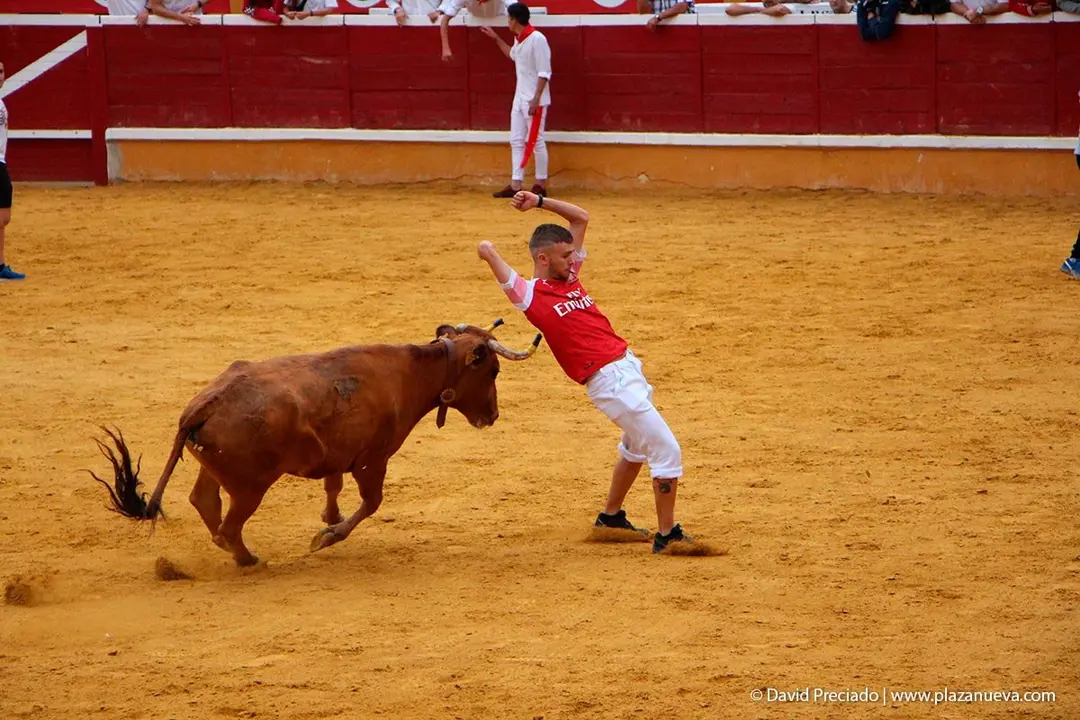 Fiestas de Tudela &rsquo;19, d&iacute;a 27 - Encierro y vacas en la plaza 25