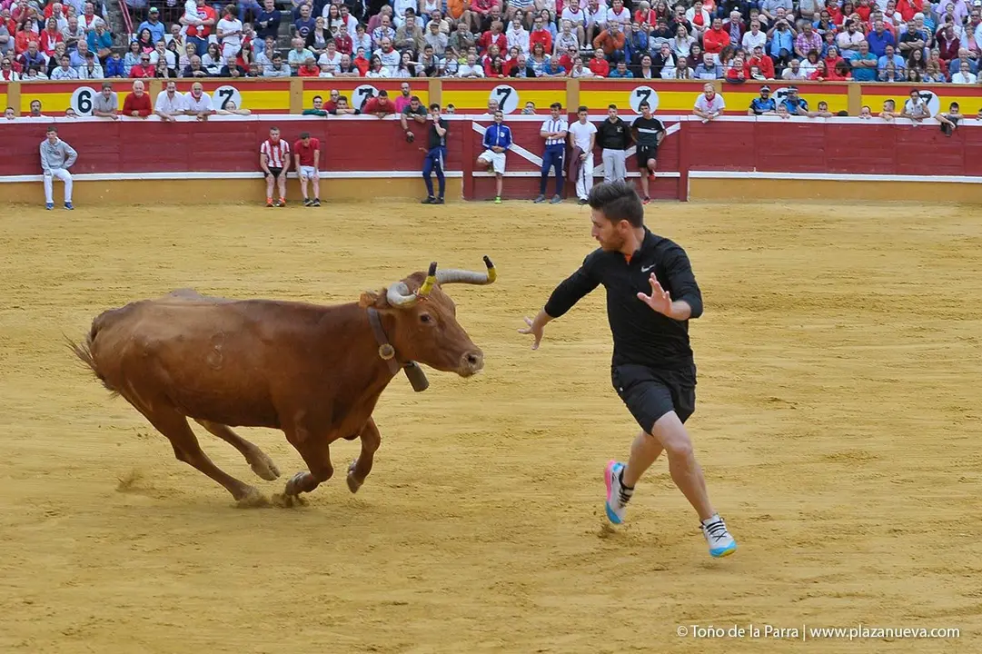 Fiestas de Tudela &rsquo;19, d&iacute;a 27 - Encierro y vacas en la plaza 32