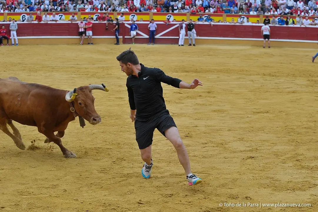 Fiestas de Tudela &rsquo;19, d&iacute;a 27 - Encierro y vacas en la plaza 37