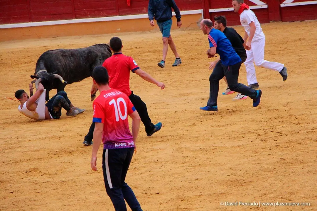 Fiestas de Tudela &rsquo;19, d&iacute;a 27 - Encierro y vacas en la plaza 43