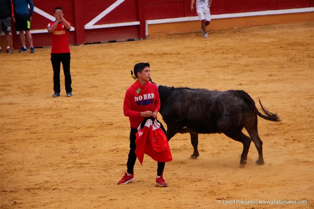 Fiestas de Tudela &rsquo;19, d&iacute;a 27 - Encierro y vacas en la plaza 44