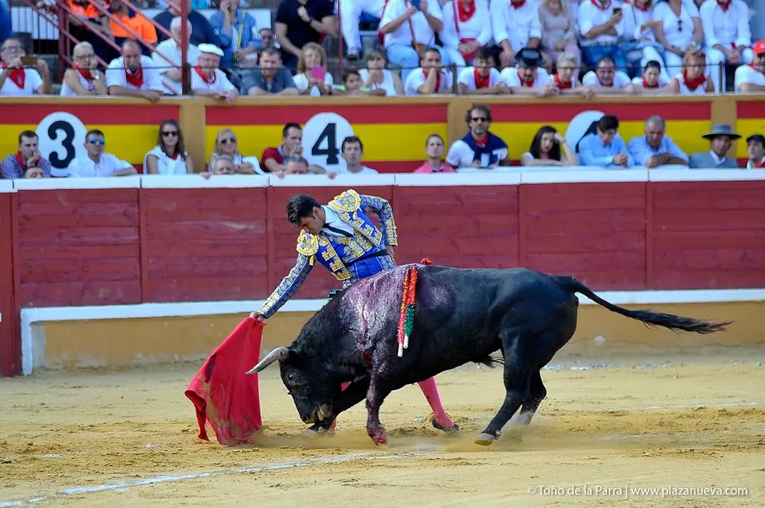 Fiestas de Tudela &rsquo;19, d&iacute;a 27 - Corrida de toros con Jesul&iacute;n de Ubrique, El Cid y Cayetano 5