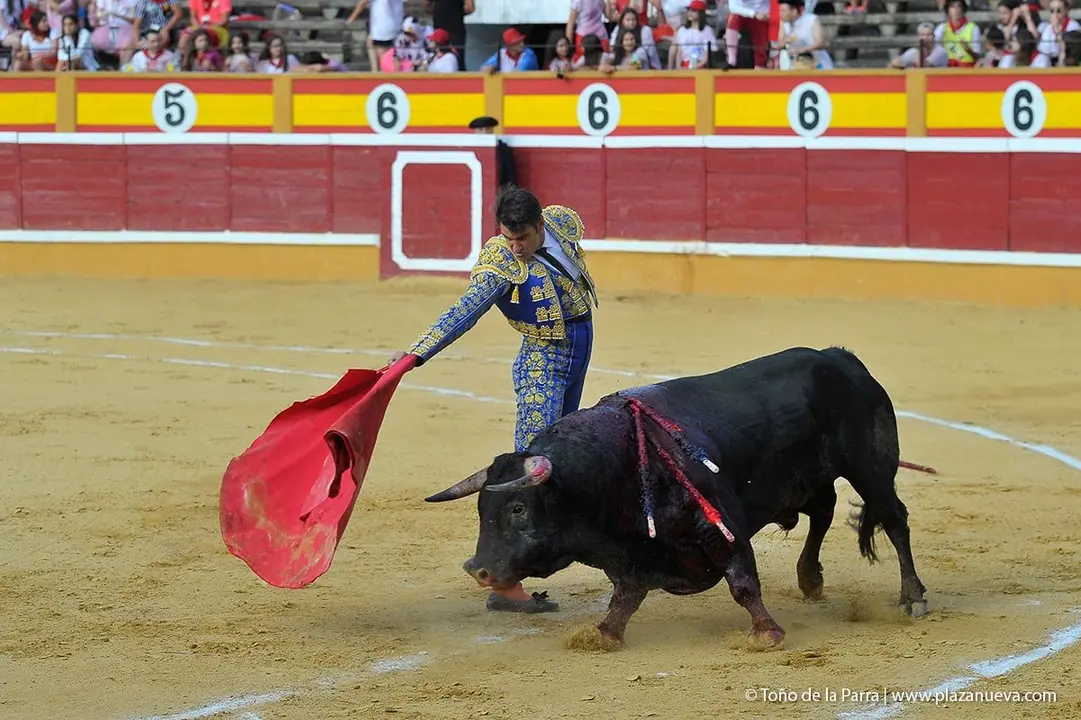 Fiestas de Tudela &rsquo;19, d&iacute;a 27 - Corrida de toros con Jesul&iacute;n de Ubrique, El Cid y Cayetano 8