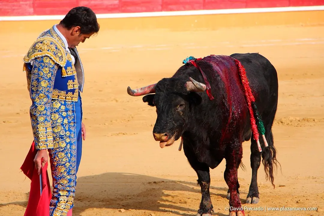 Fiestas de Tudela &rsquo;19, d&iacute;a 27 - Corrida de toros con Jesul&iacute;n de Ubrique, El Cid y Cayetano 11
