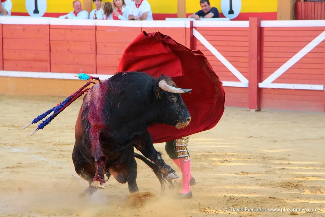 Fiestas de Tudela &rsquo;19, d&iacute;a 27 - Corrida de toros con Jesul&iacute;n de Ubrique, El Cid y Cayetano 18