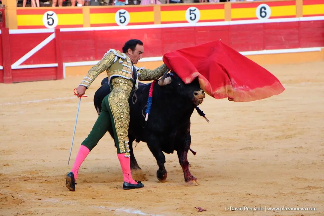 Fiestas de Tudela &rsquo;19, d&iacute;a 27 - Corrida de toros con Jesul&iacute;n de Ubrique, El Cid y Cayetano 32