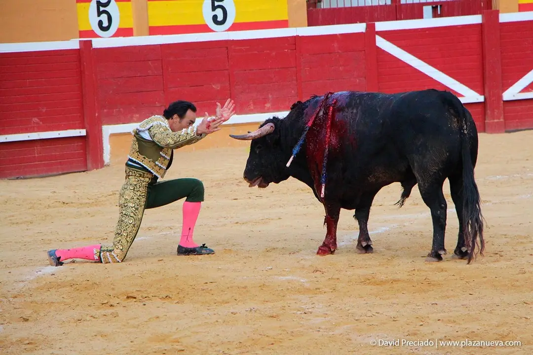 Fiestas de Tudela &rsquo;19, d&iacute;a 27 - Corrida de toros con Jesul&iacute;n de Ubrique, El Cid y Cayetano 33
