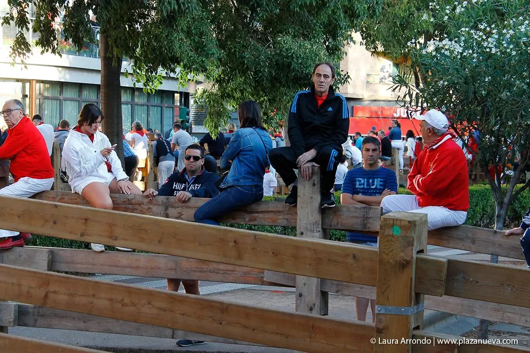 Fiestas de Tudela &rsquo;19, d&iacute;a 28 - Encierro y vacas en la plaza 1