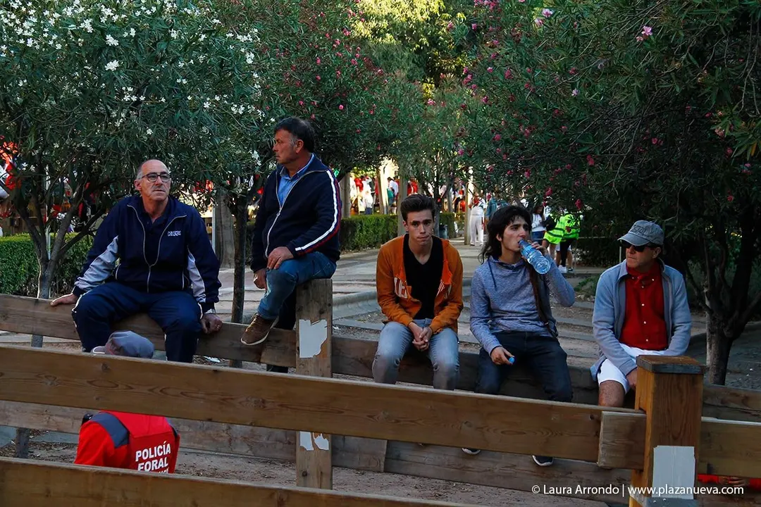 Fiestas de Tudela &rsquo;19, d&iacute;a 28 - Encierro y vacas en la plaza 2
