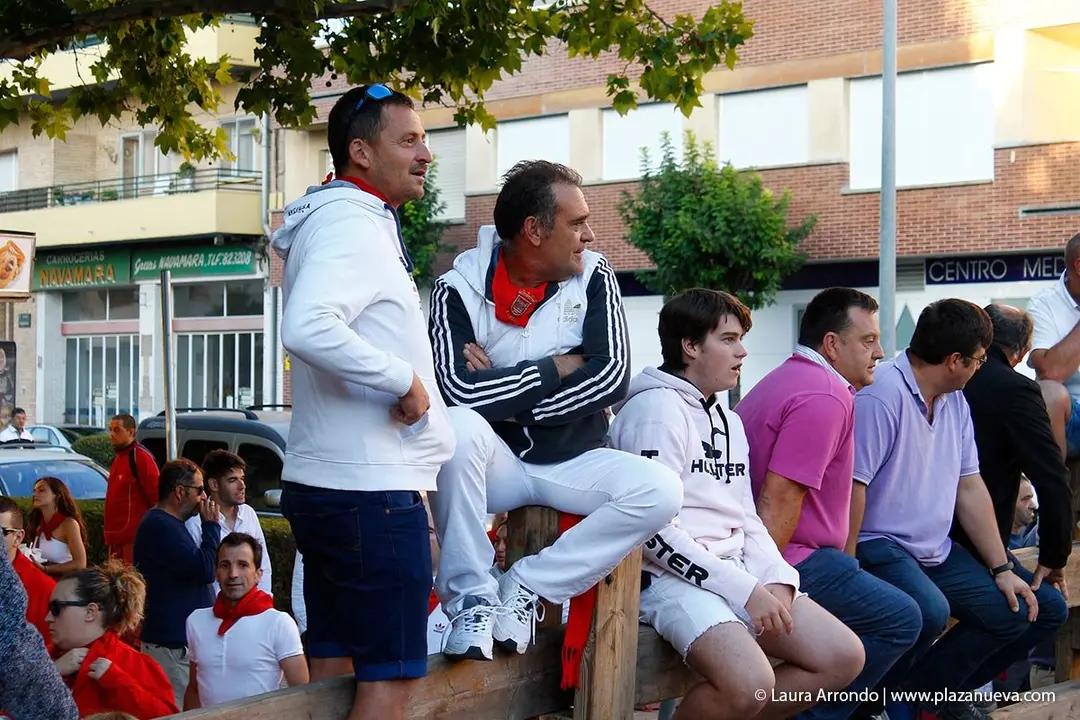 Fiestas de Tudela &rsquo;19, d&iacute;a 28 - Encierro y vacas en la plaza 3