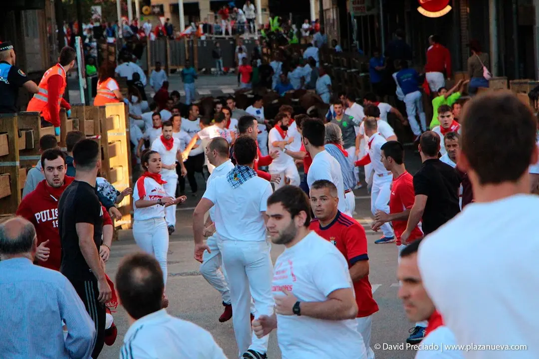 Fiestas de Tudela &rsquo;19, d&iacute;a 28 - Encierro y vacas en la plaza 5