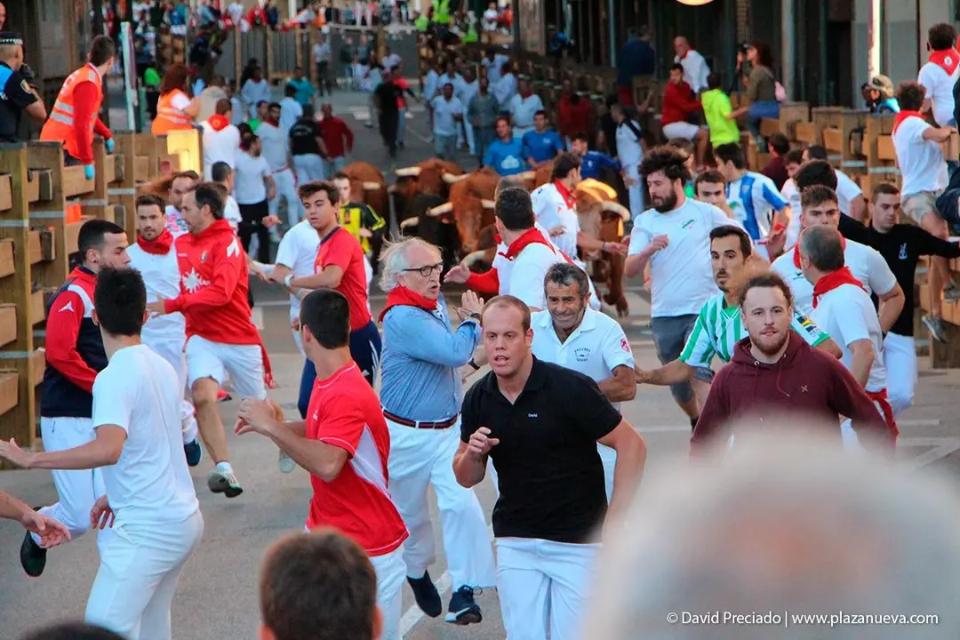 Fiestas de Tudela &rsquo;19, d&iacute;a 28 - Encierro y vacas en la plaza 6