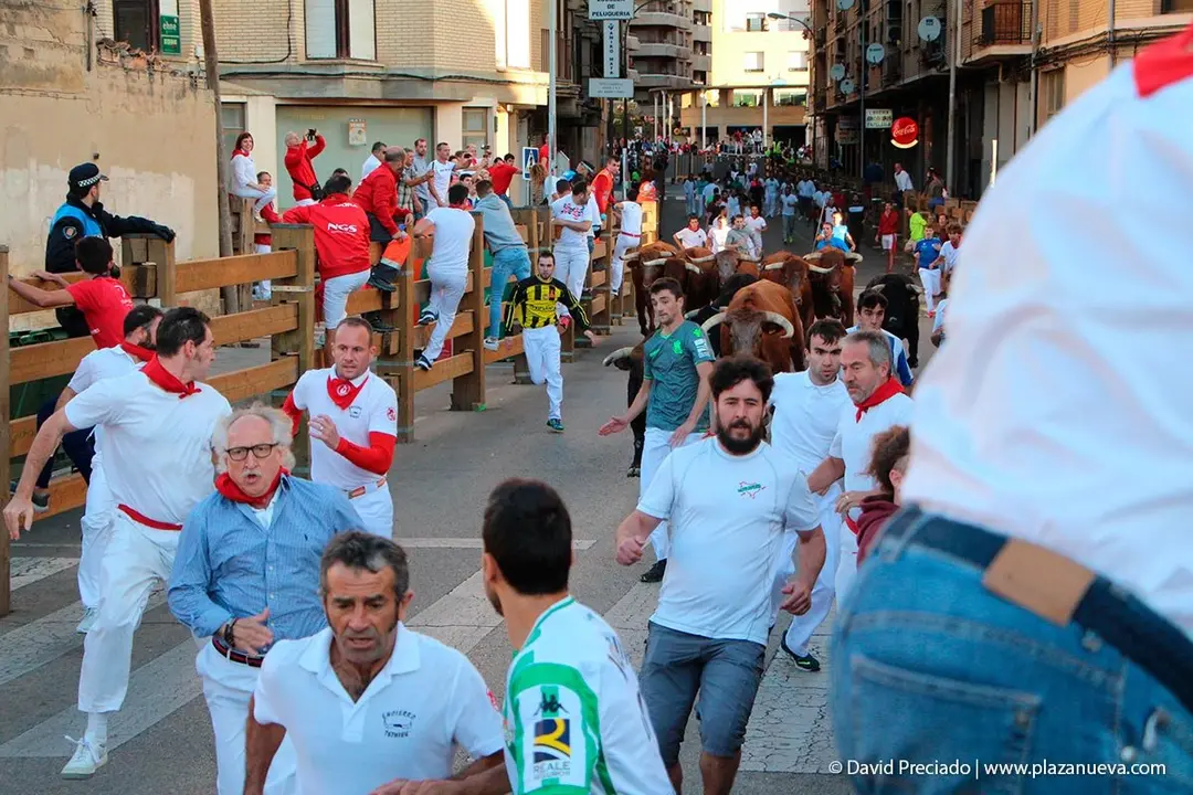 Fiestas de Tudela &rsquo;19, d&iacute;a 28 - Encierro y vacas en la plaza 7