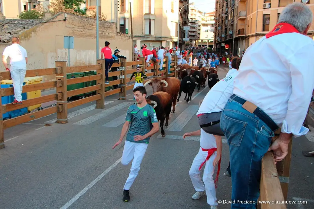 Fiestas de Tudela &rsquo;19, d&iacute;a 28 - Encierro y vacas en la plaza 8