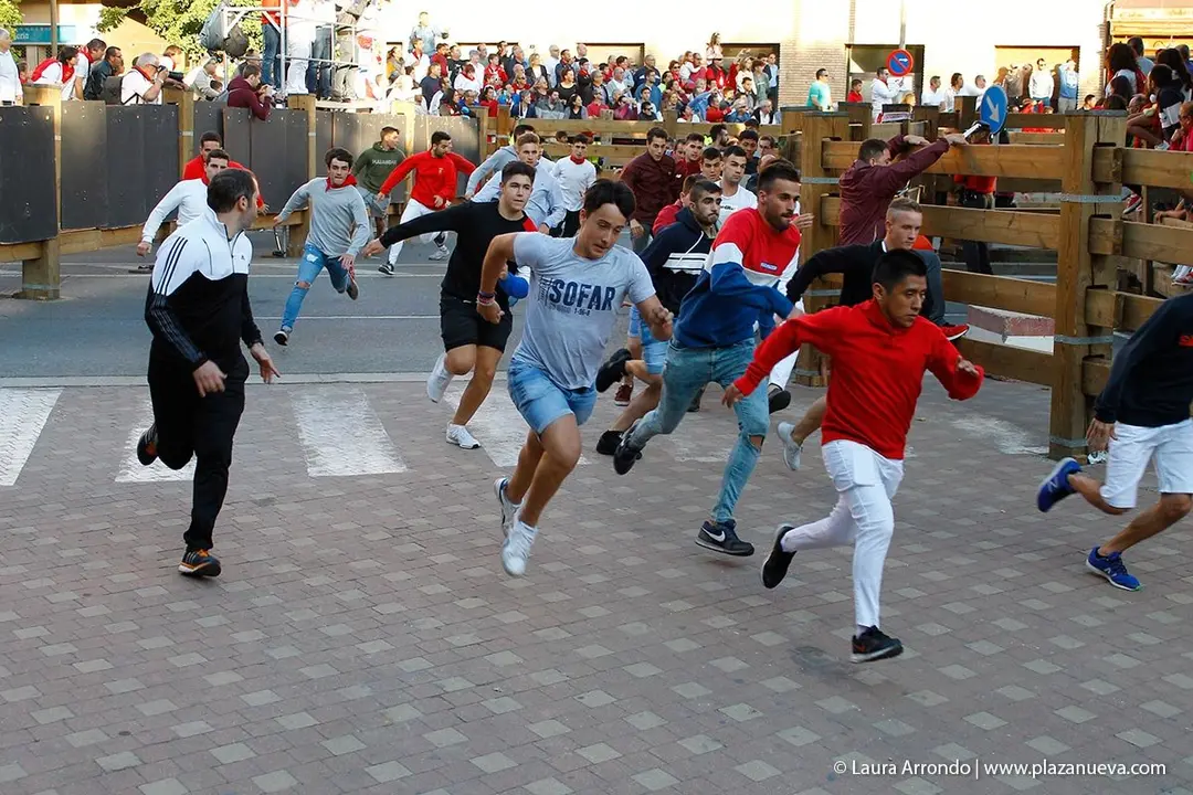 Fiestas de Tudela &rsquo;19, d&iacute;a 28 - Encierro y vacas en la plaza 12