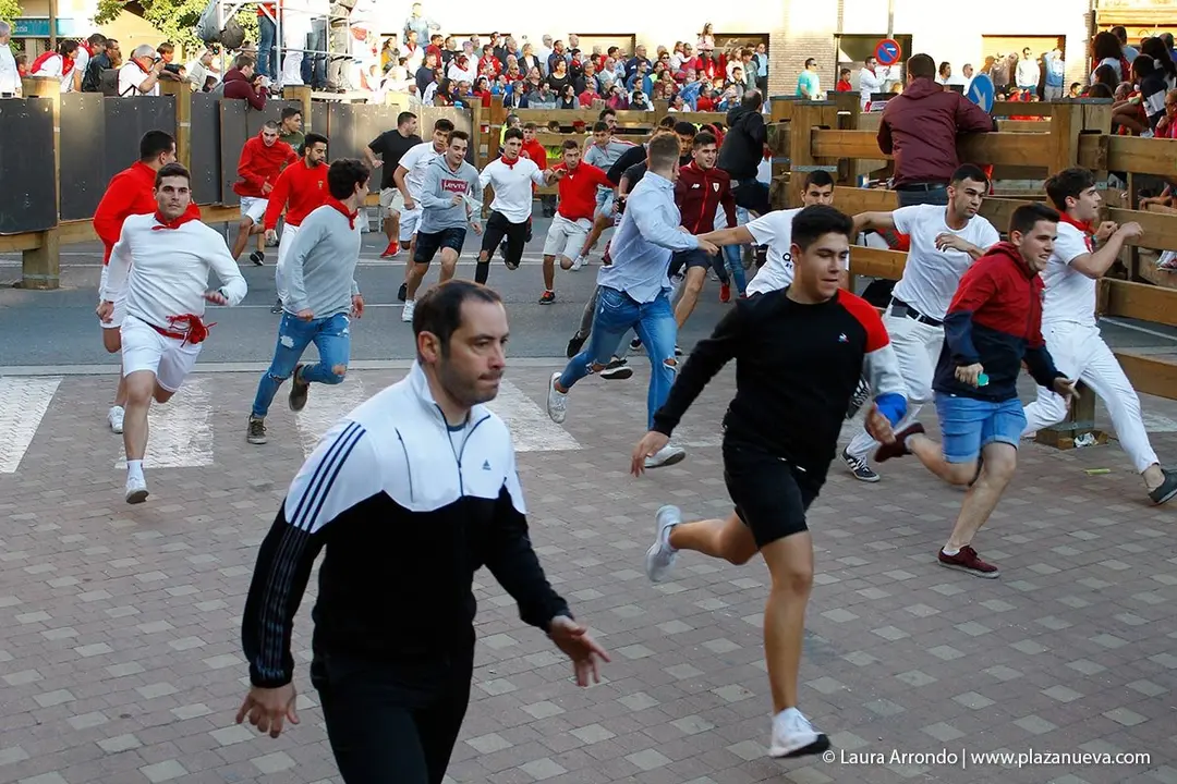 Fiestas de Tudela &rsquo;19, d&iacute;a 28 - Encierro y vacas en la plaza 13