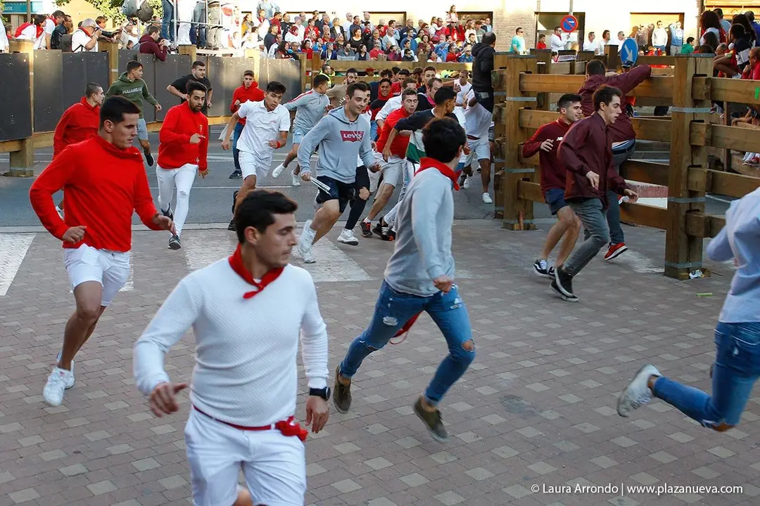Fiestas de Tudela &rsquo;19, d&iacute;a 28 - Encierro y vacas en la plaza 14