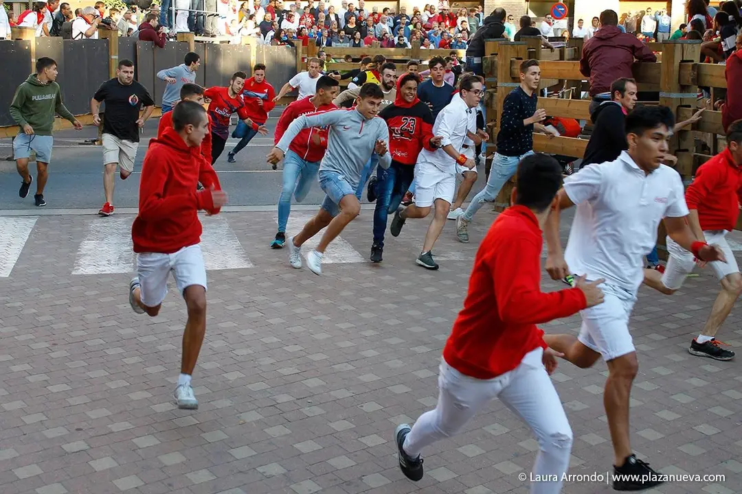 Fiestas de Tudela &rsquo;19, d&iacute;a 28 - Encierro y vacas en la plaza 15
