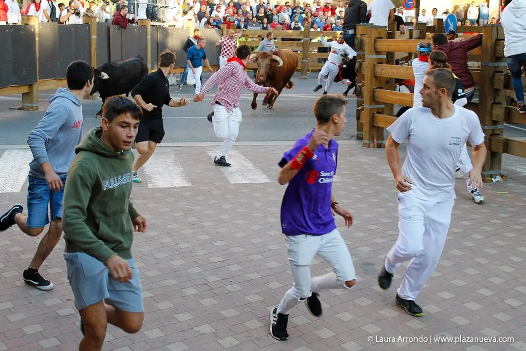 Fiestas de Tudela &rsquo;19, d&iacute;a 28 - Encierro y vacas en la plaza 16