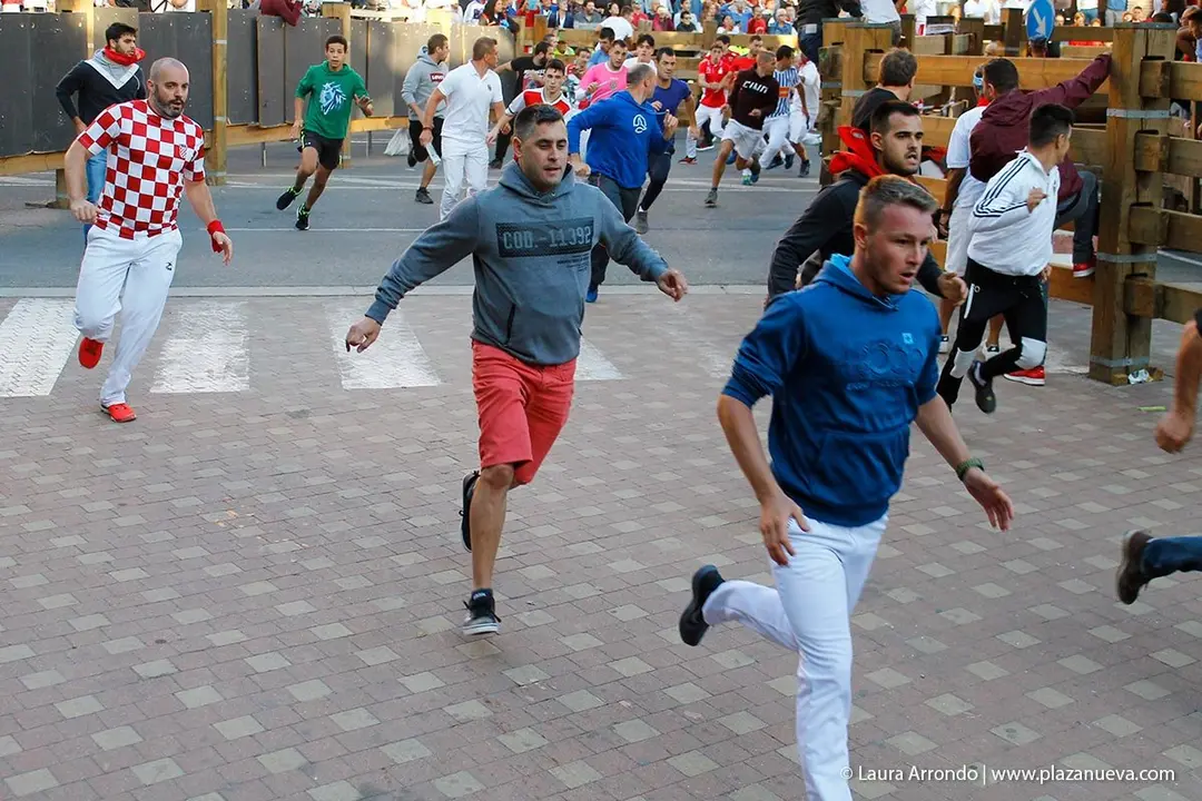 Fiestas de Tudela &rsquo;19, d&iacute;a 28 - Encierro y vacas en la plaza 19