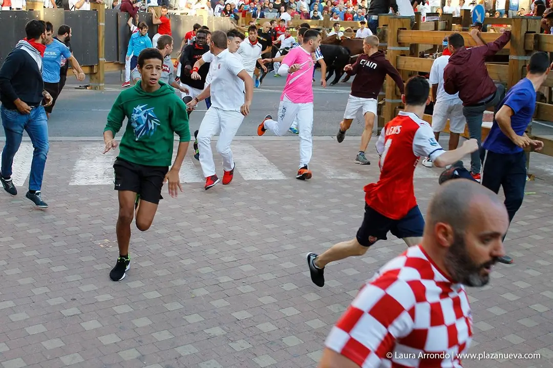 Fiestas de Tudela &rsquo;19, d&iacute;a 28 - Encierro y vacas en la plaza 20