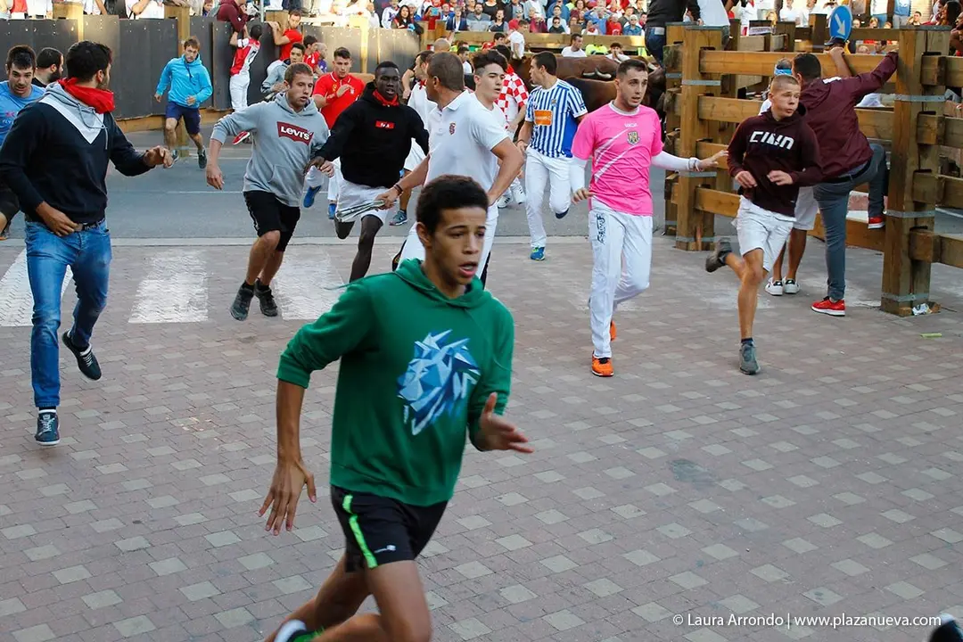 Fiestas de Tudela &rsquo;19, d&iacute;a 28 - Encierro y vacas en la plaza 21