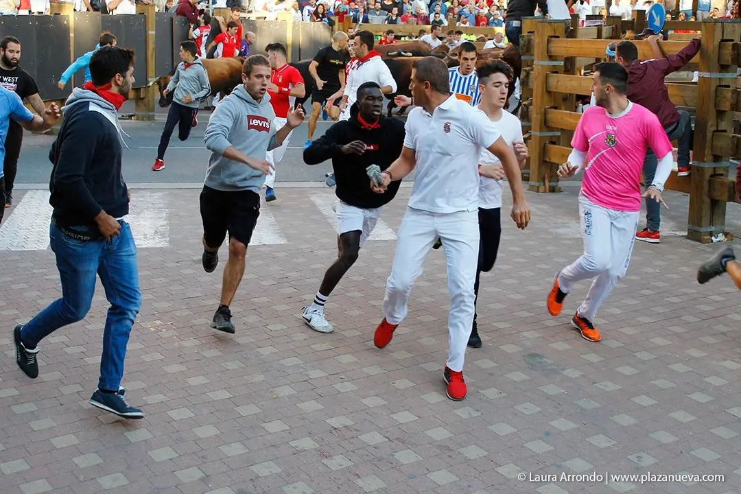 Fiestas de Tudela &rsquo;19, d&iacute;a 28 - Encierro y vacas en la plaza 22