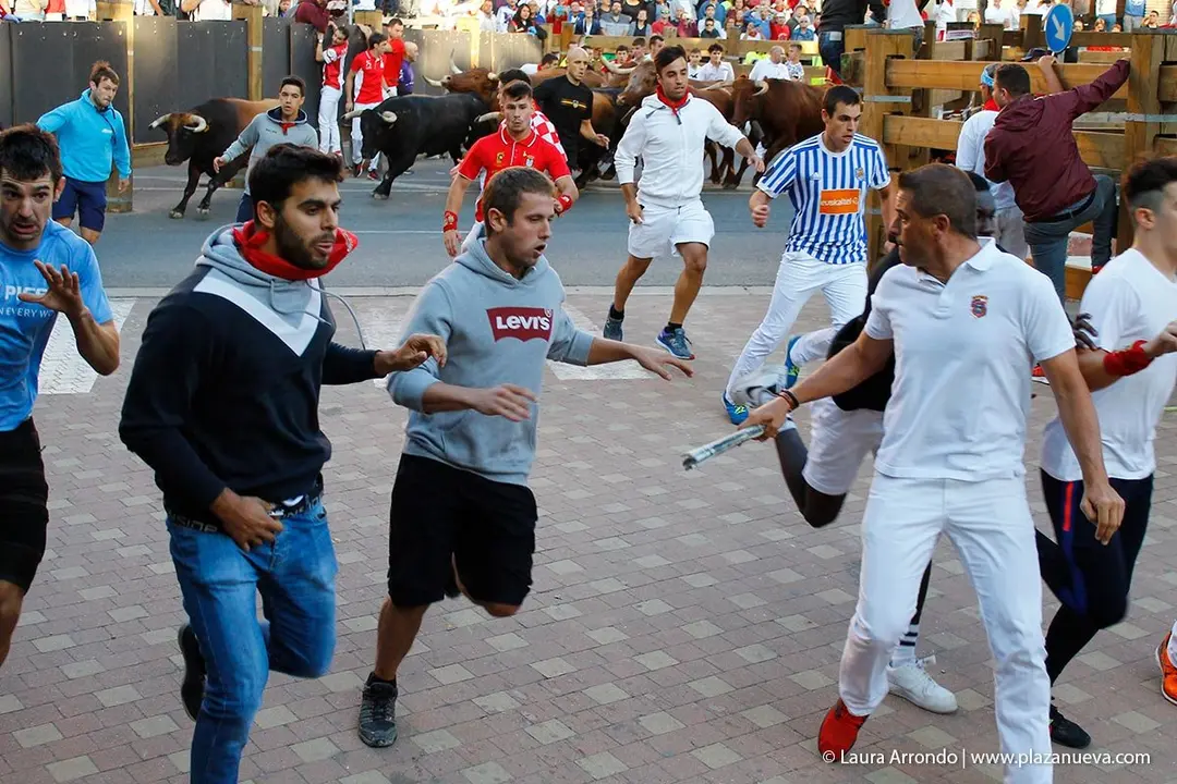 Fiestas de Tudela &rsquo;19, d&iacute;a 28 - Encierro y vacas en la plaza 23