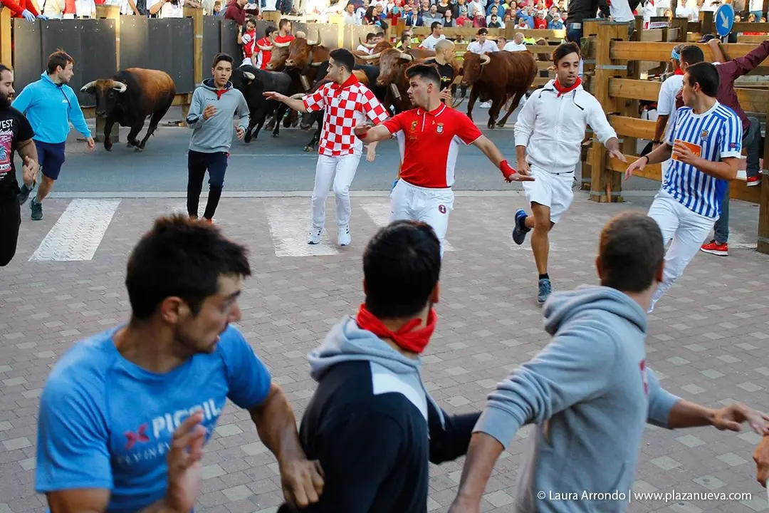 Fiestas de Tudela &rsquo;19, d&iacute;a 28 - Encierro y vacas en la plaza 24