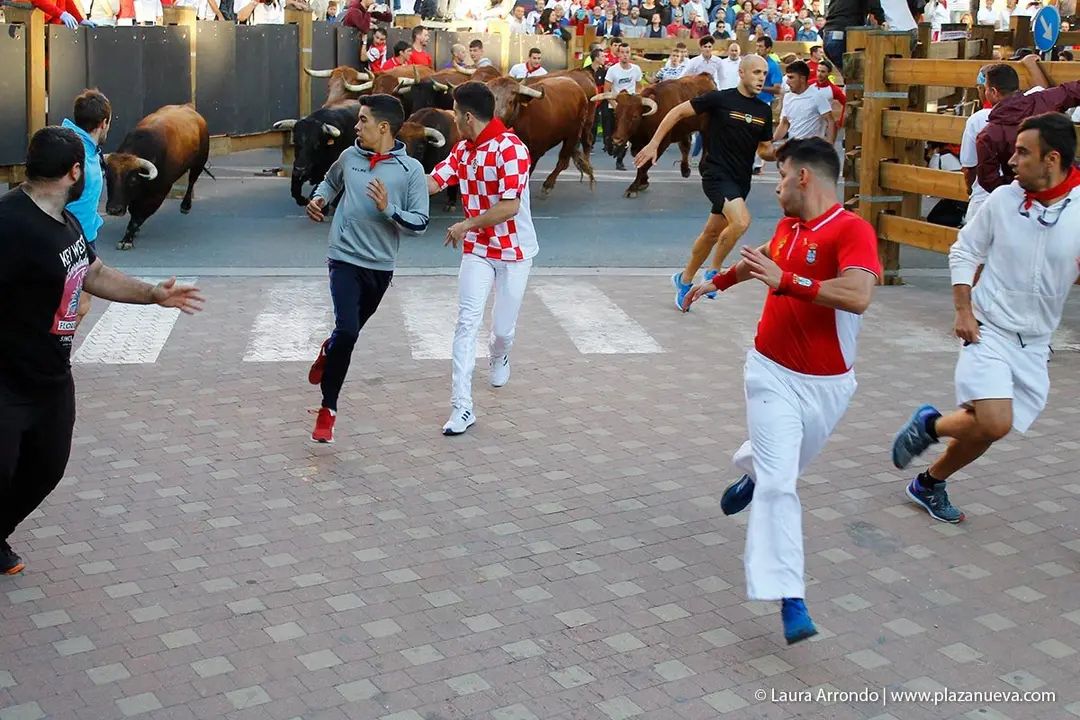 Fiestas de Tudela &rsquo;19, d&iacute;a 28 - Encierro y vacas en la plaza 25