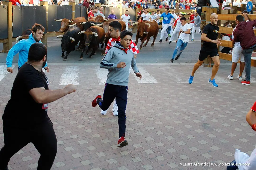 Fiestas de Tudela &rsquo;19, d&iacute;a 28 - Encierro y vacas en la plaza 26