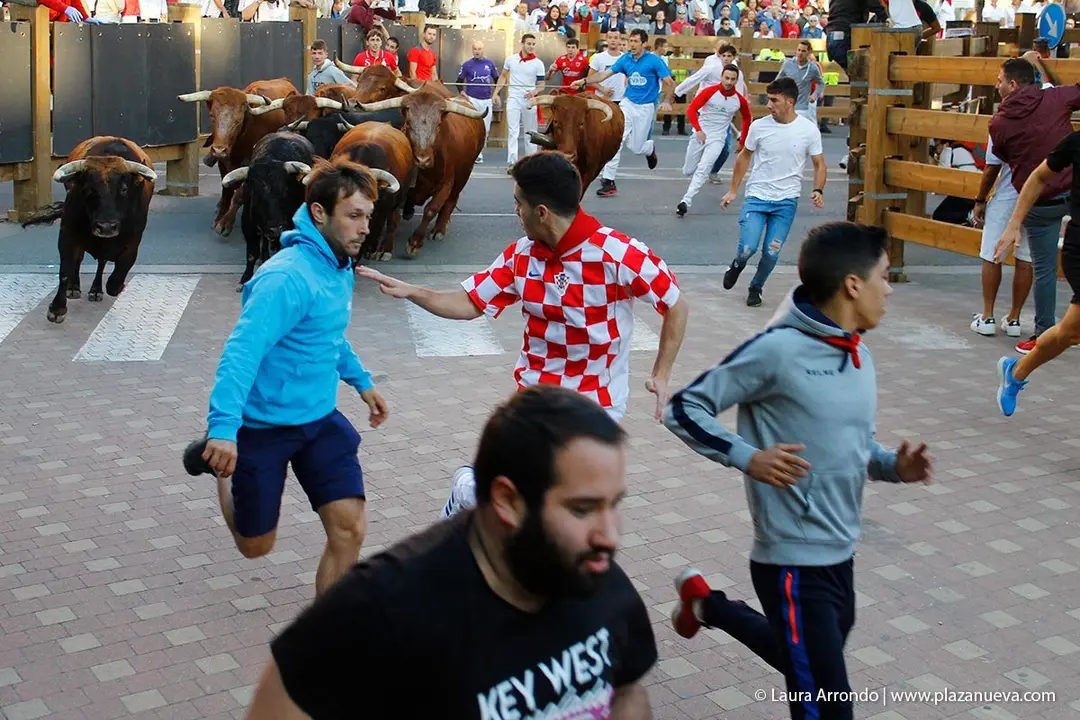 Fiestas de Tudela &rsquo;19, d&iacute;a 28 - Encierro y vacas en la plaza 27