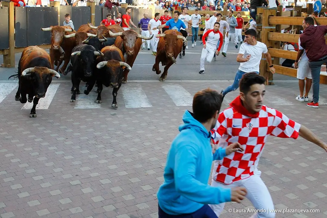 Fiestas de Tudela &rsquo;19, d&iacute;a 28 - Encierro y vacas en la plaza 28