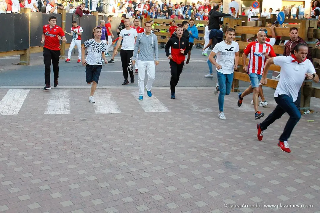 Fiestas de Tudela &rsquo;19, d&iacute;a 28 - Encierro y vacas en la plaza 29
