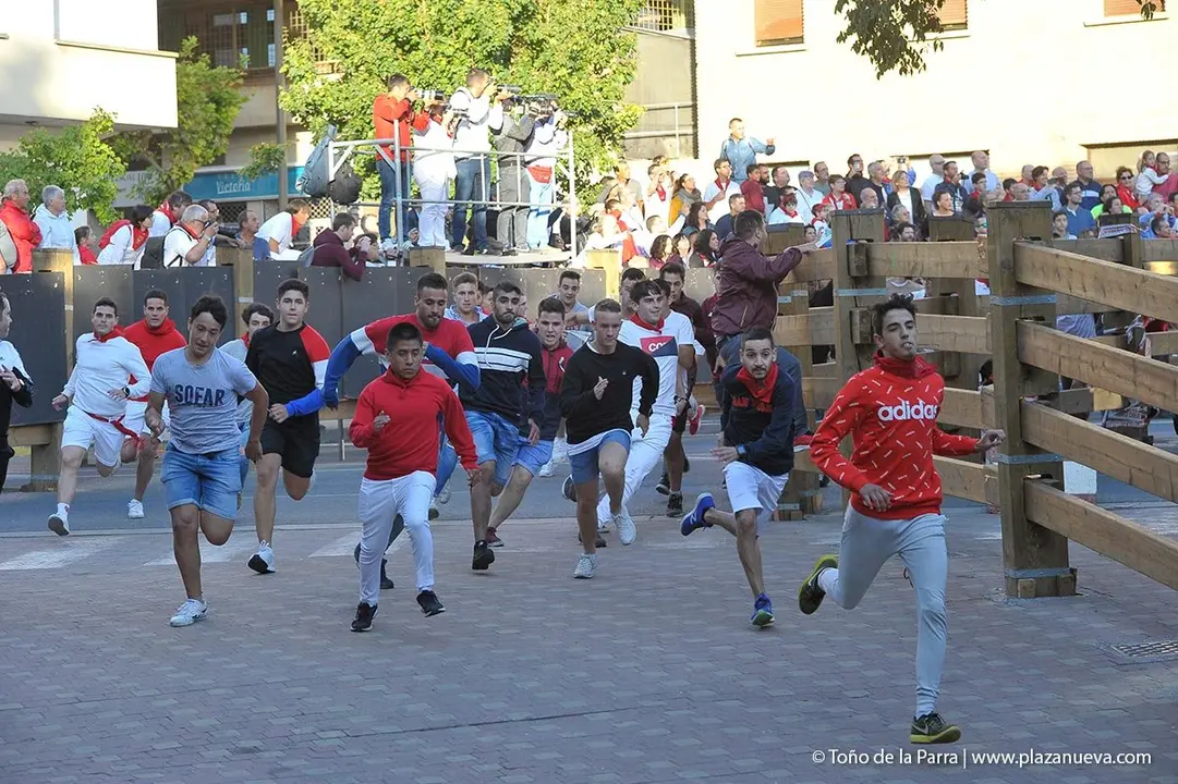 Fiestas de Tudela &rsquo;19, d&iacute;a 28 - Encierro y vacas en la plaza 30