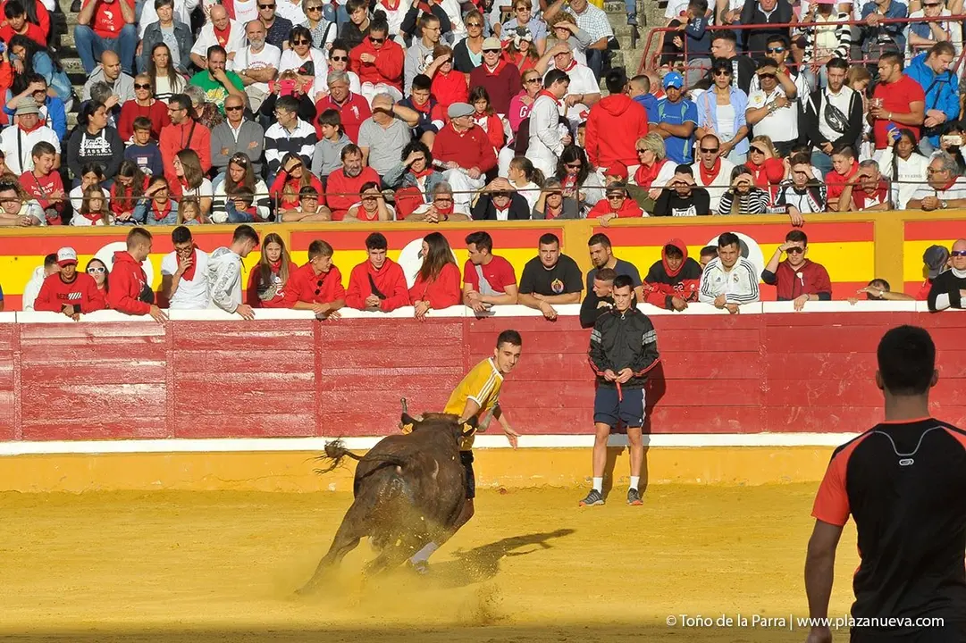 Fiestas de Tudela &rsquo;19, d&iacute;a 28 - Encierro y vacas en la plaza 38