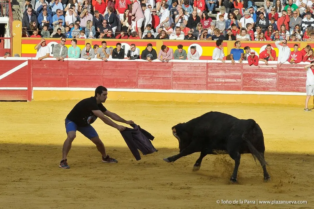 Fiestas de Tudela &rsquo;19, d&iacute;a 28 - Encierro y vacas en la plaza 43