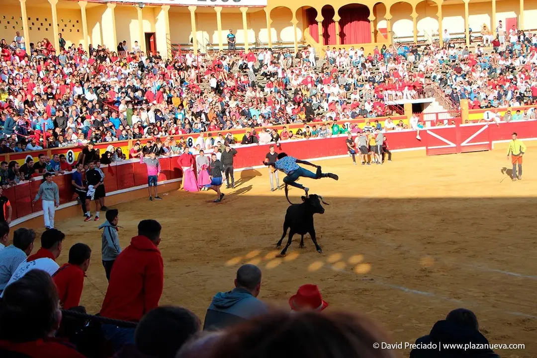 Fiestas de Tudela &rsquo;19, d&iacute;a 28 - Encierro y vacas en la plaza 54