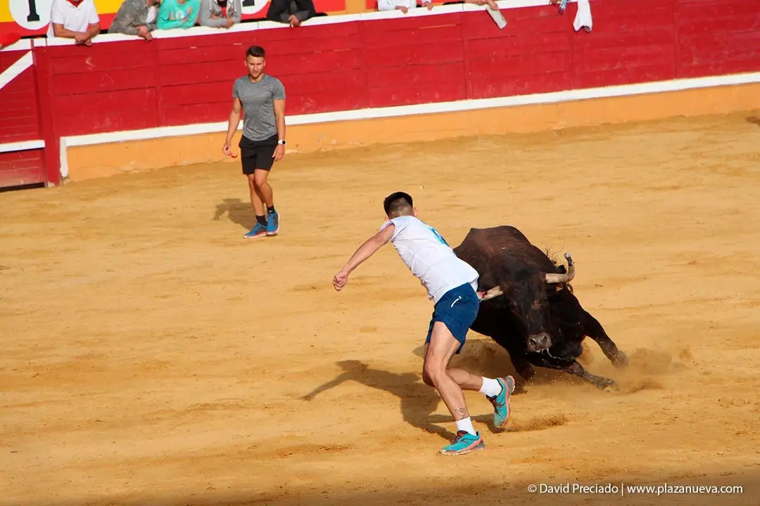 Fiestas de Tudela &rsquo;19, d&iacute;a 28 - Encierro y vacas en la plaza 60