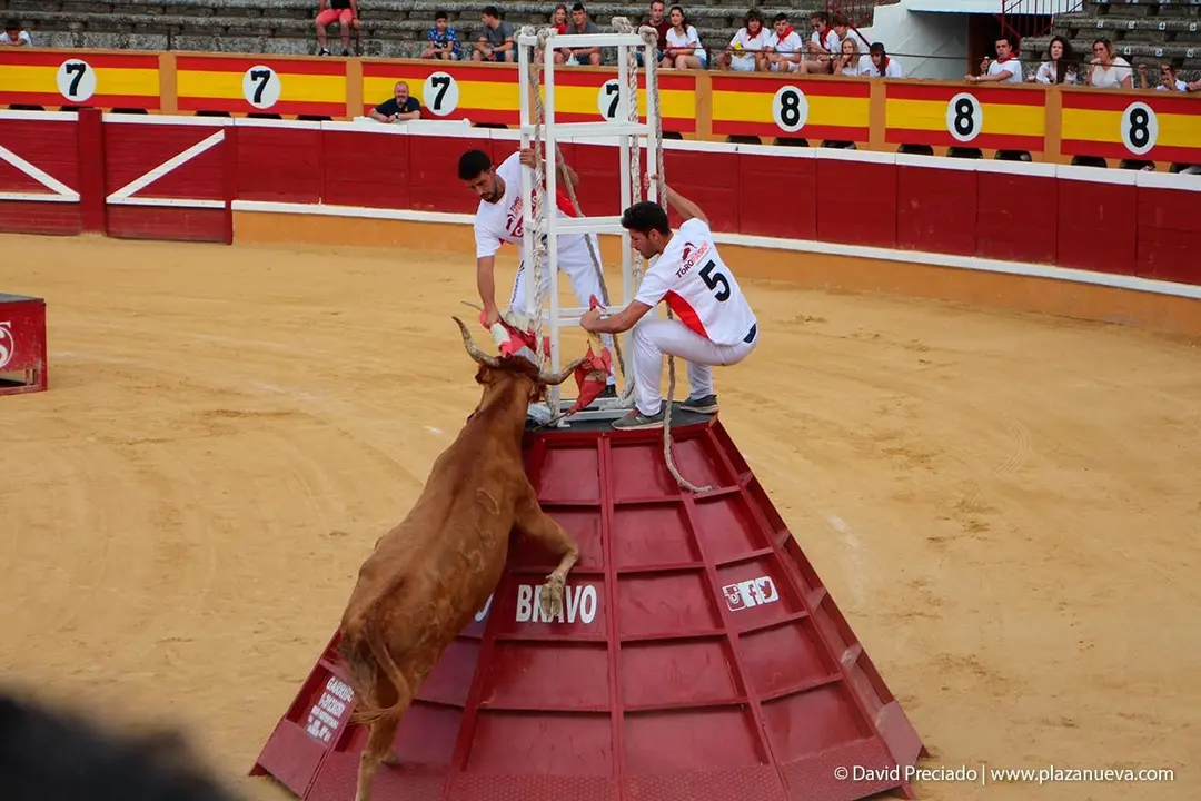 Fiestas de Tudela &rsquo;19, d&iacute;a 26 - Exhibici&oacute;n de bravura Arriazu 1