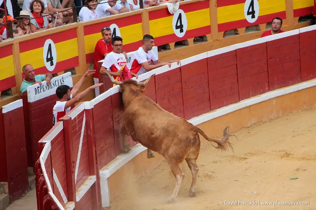 Fiestas de Tudela &rsquo;19, d&iacute;a 26 - Exhibici&oacute;n de bravura Arriazu 2