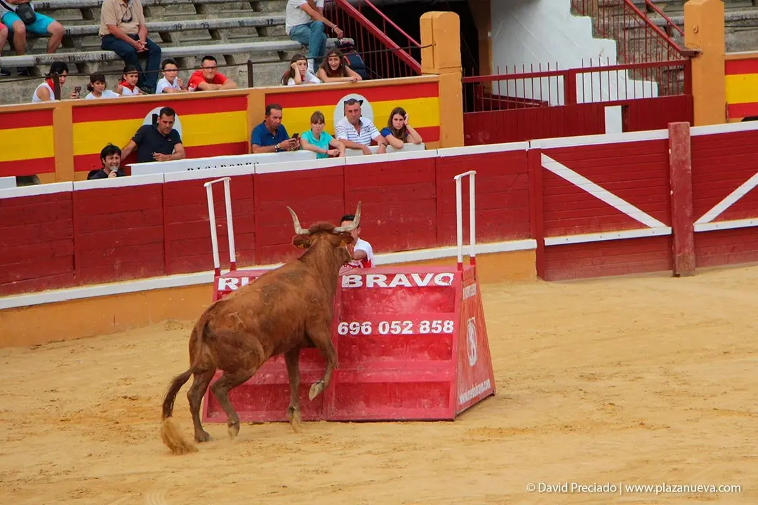 Fiestas de Tudela &rsquo;19, d&iacute;a 26 - Exhibici&oacute;n de bravura Arriazu 3